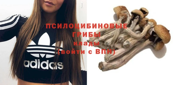 гашиш Тобольск