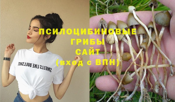 MESCALINE Богородицк