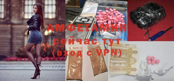 дмт Бородино