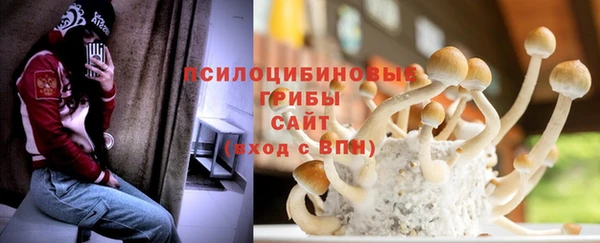 дмт Бородино